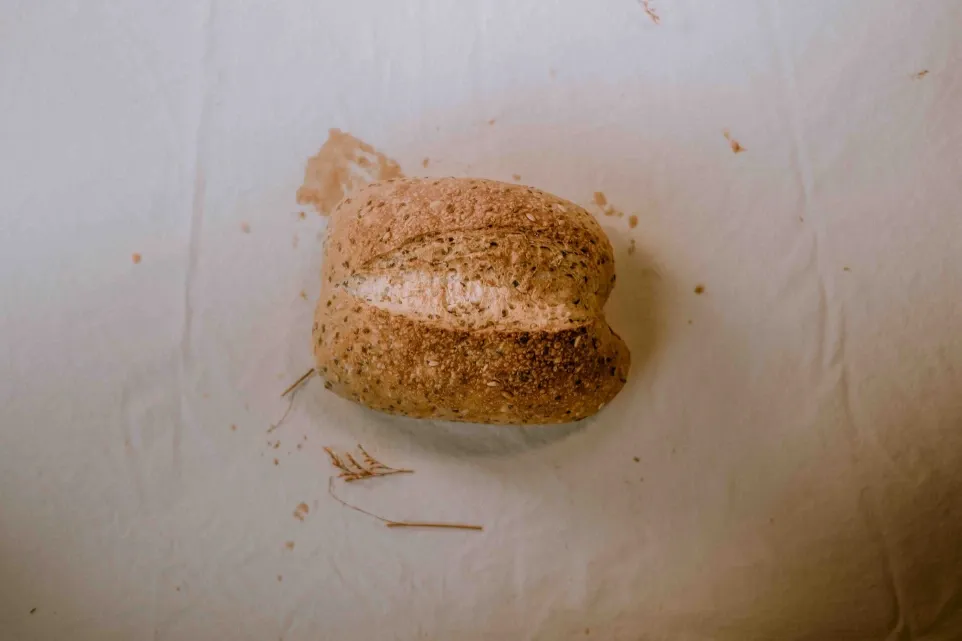 image_1920.webp